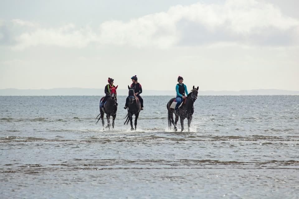 Picture of the author