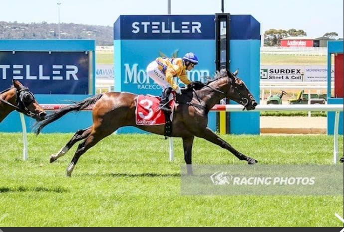 Waymouth IMG_7648.jpg