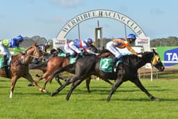 Picture of the author