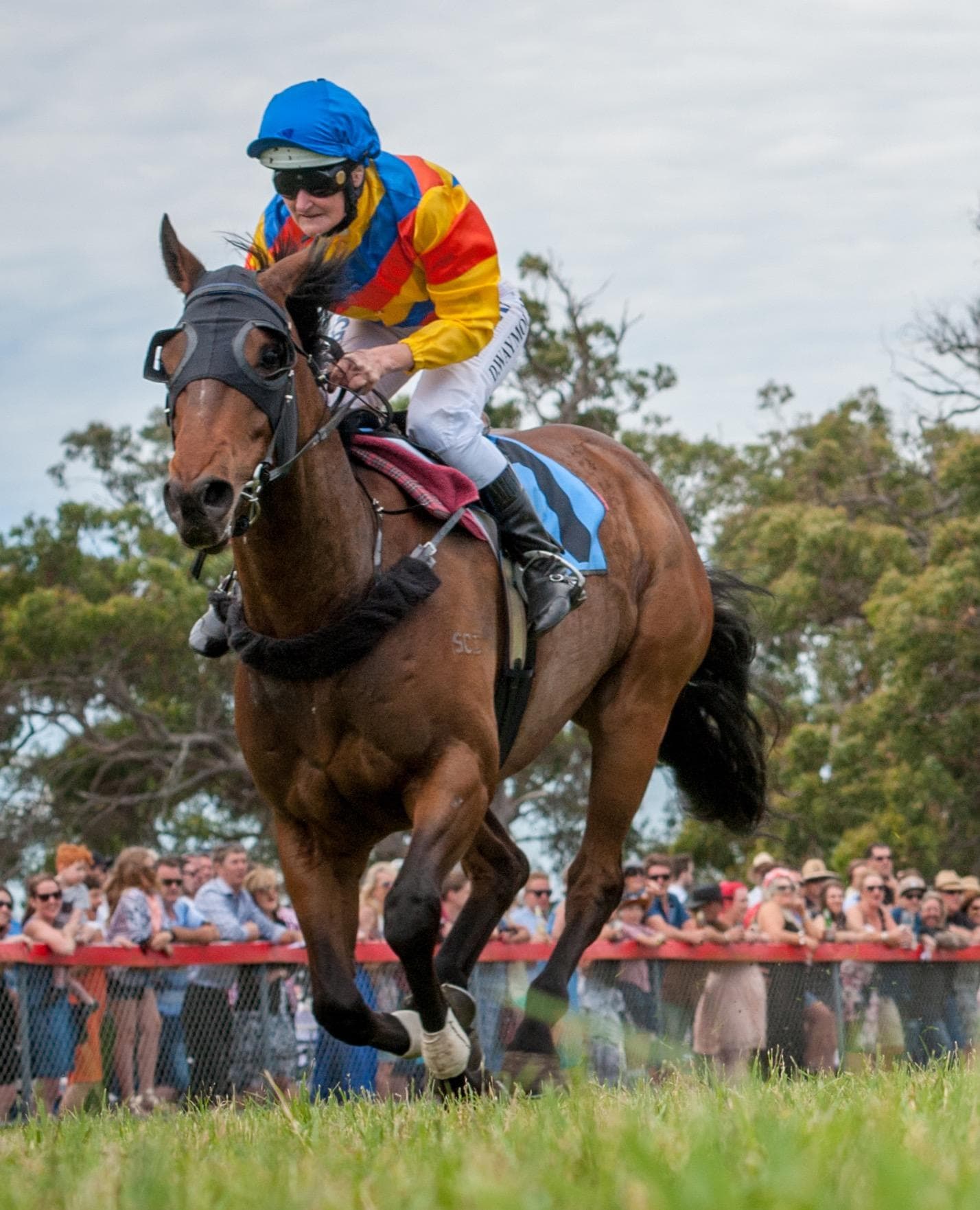 Waymouth IMG_1275.jpg