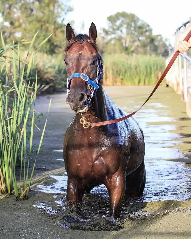 Picture of the author