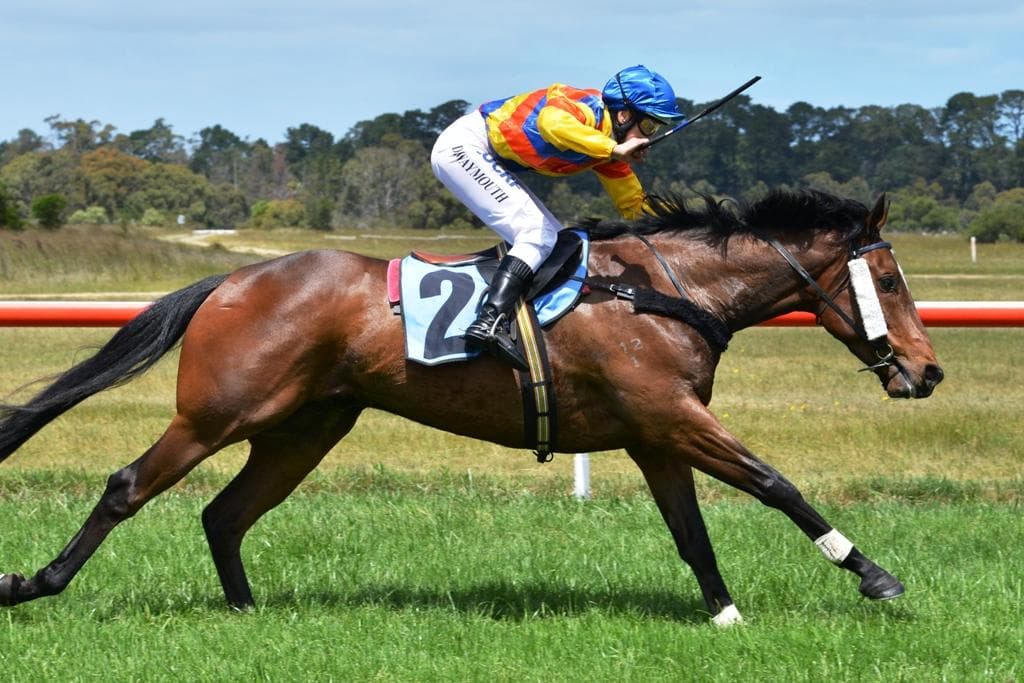 Waymouth IMG_2912.JPG