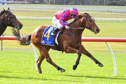 Picture of the author