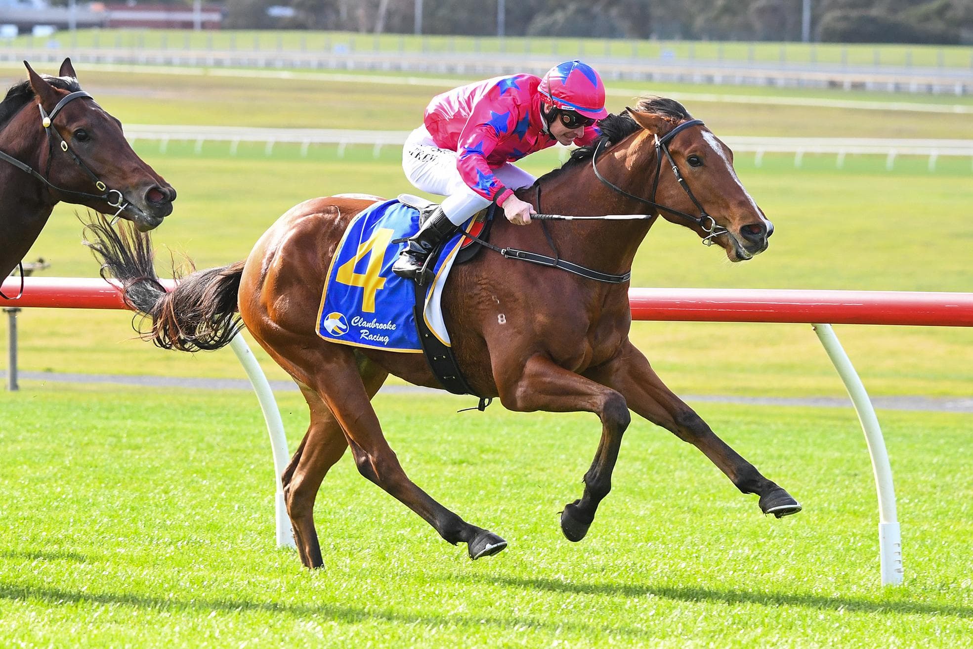 Picture of the author