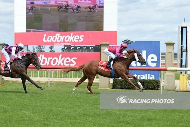 Waymouth image4.jpeg