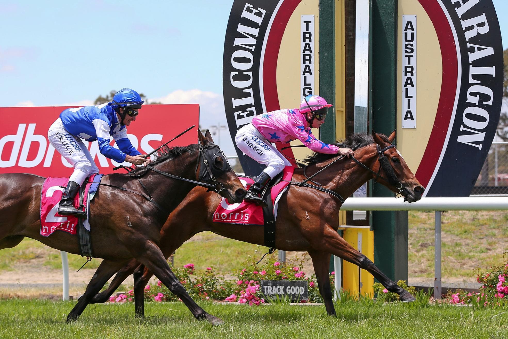 161127_traralgon_md0178 copy.jpg