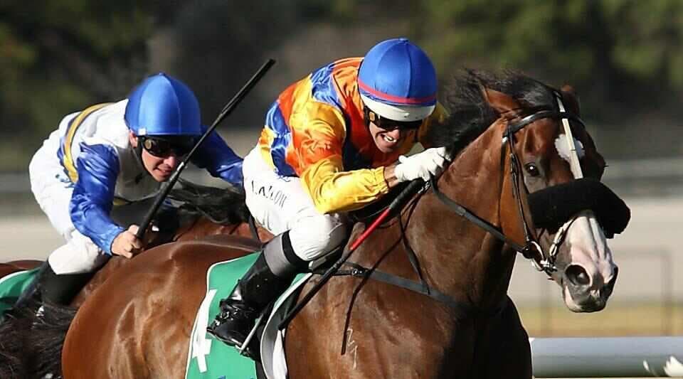 Waymouth IMG_0236.JPG