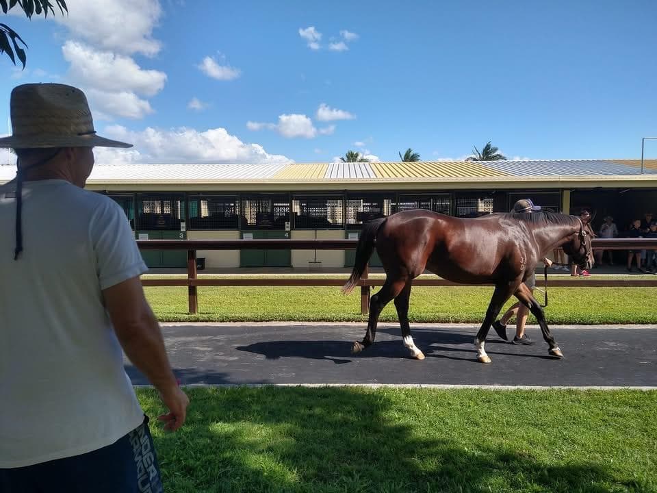 Picture of the author