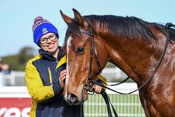 Picture of the author